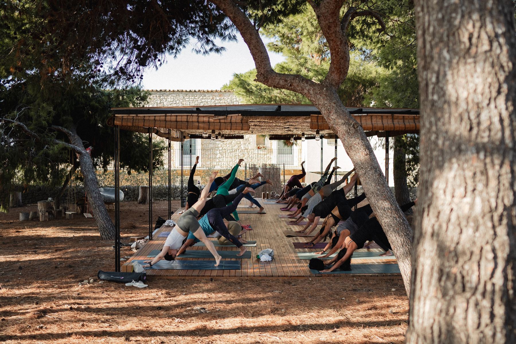 A yoga class in the shala under the pine trees