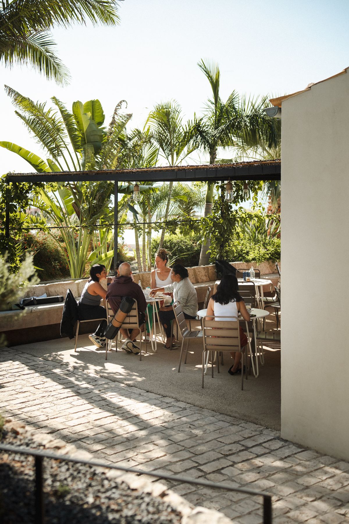 A small group talking at a table under the palms