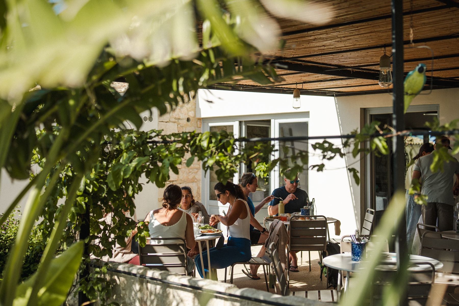 Guests sharing lunch under the reed pergola