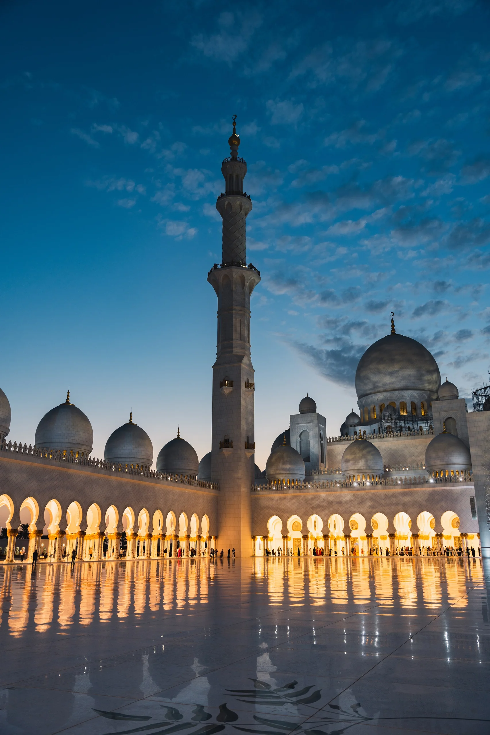 Portfolio image 14