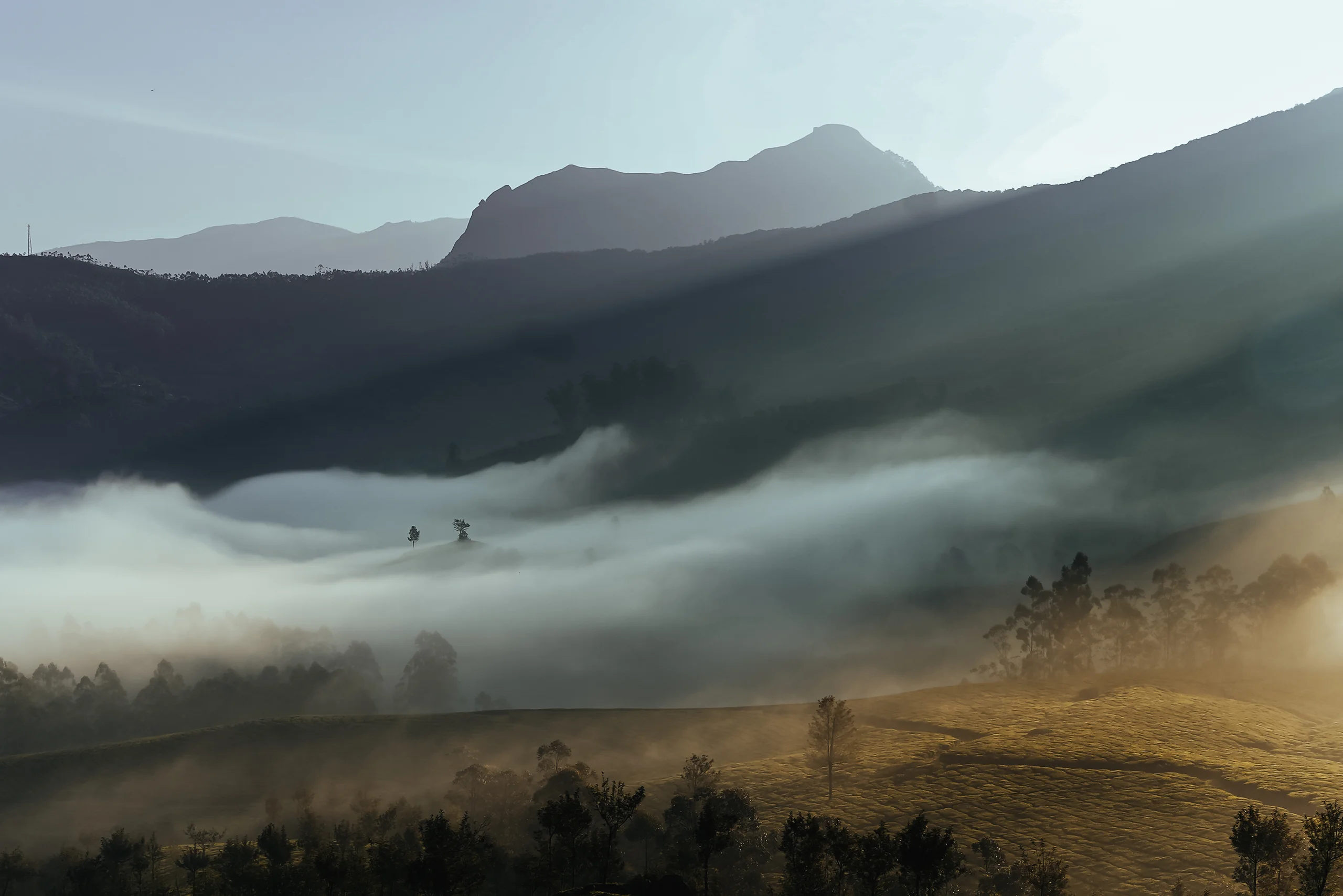 Portfolio image 2