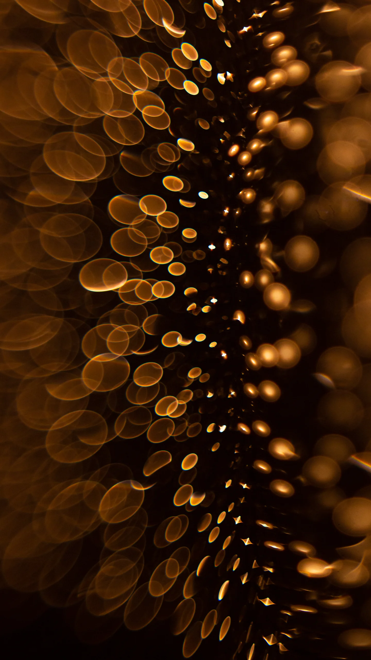 Portfolio image 57