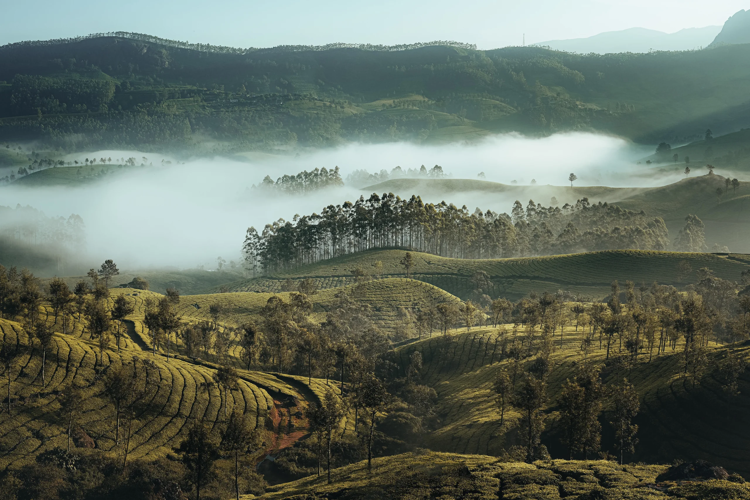 Portfolio image 11