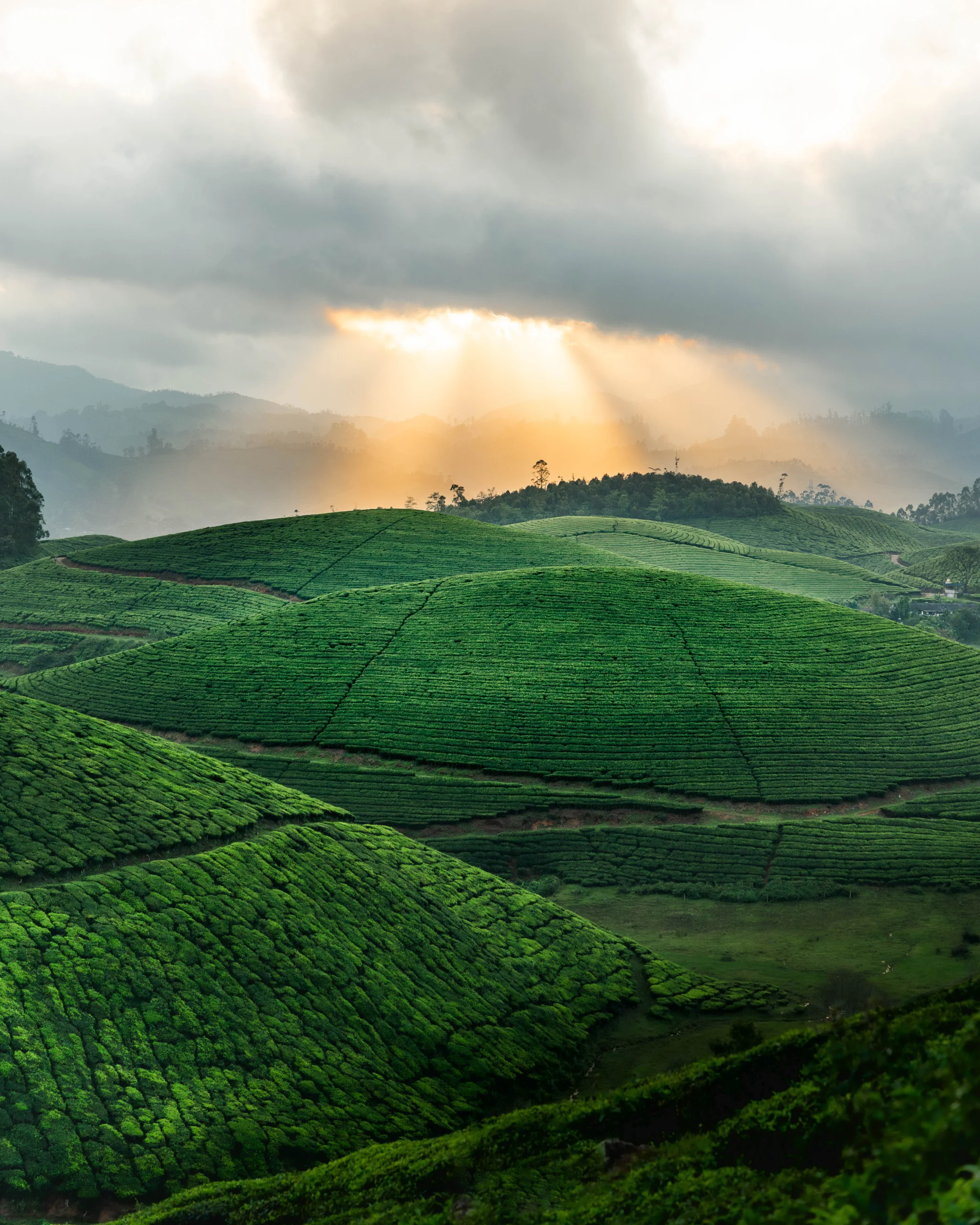 Portfolio image 94