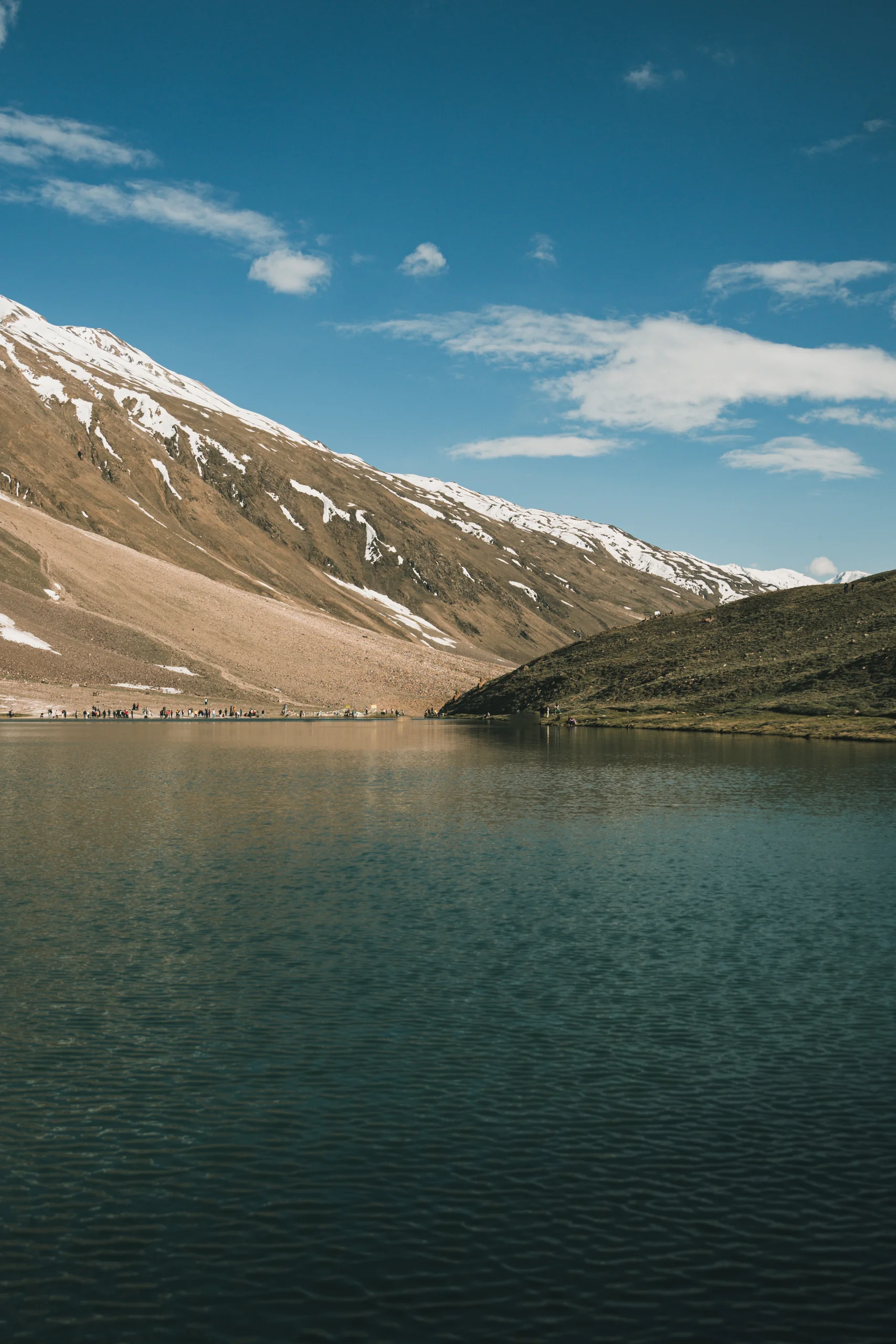Portfolio image 64