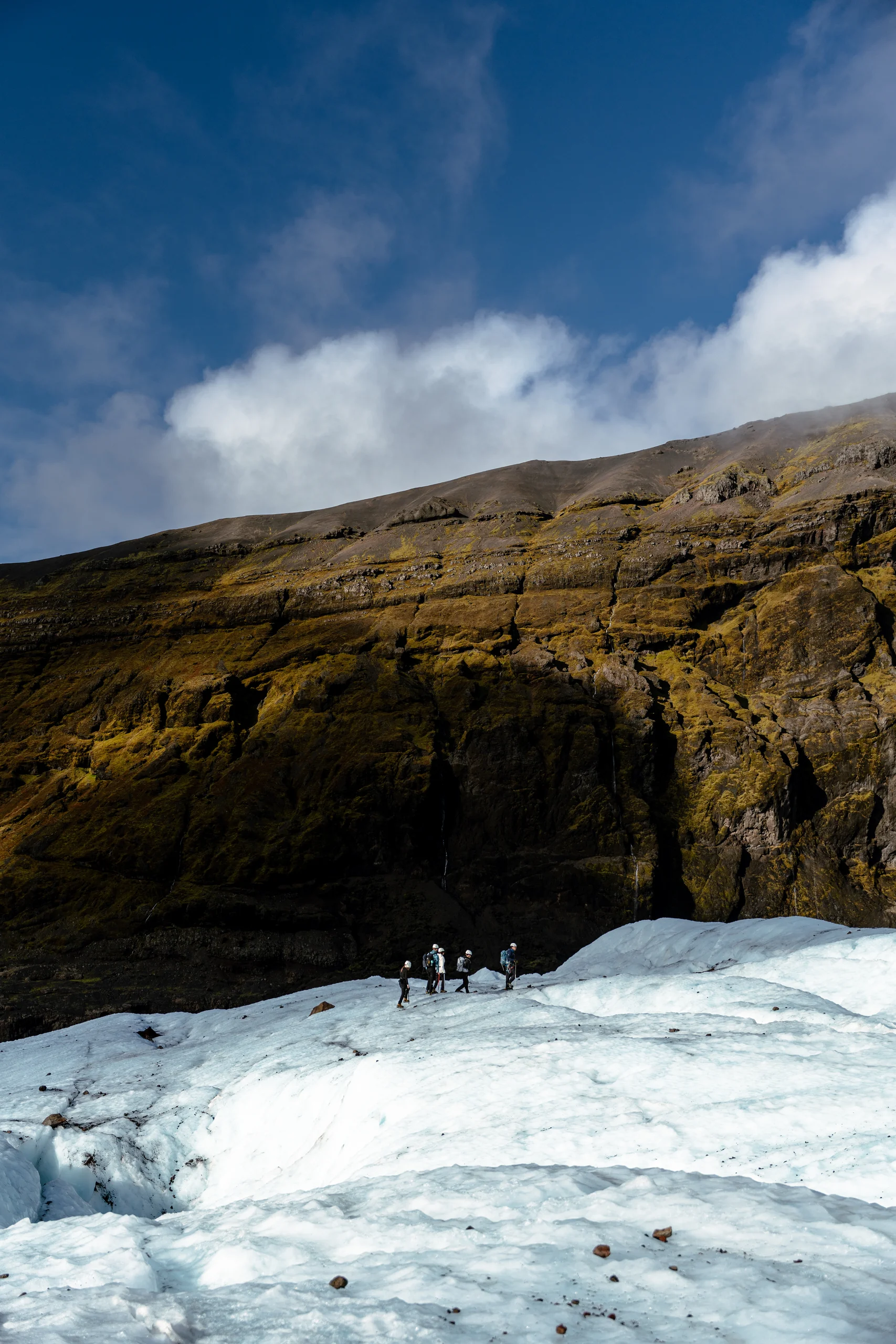 Portfolio image 77