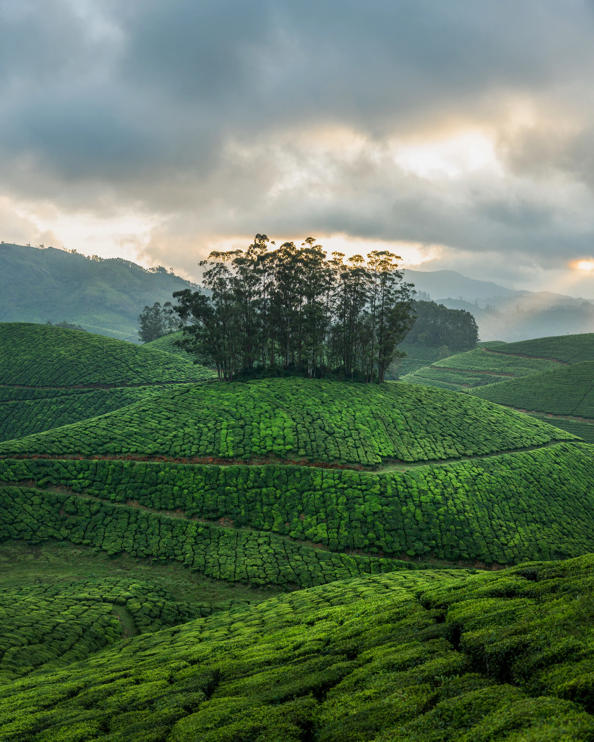 Portfolio image 79