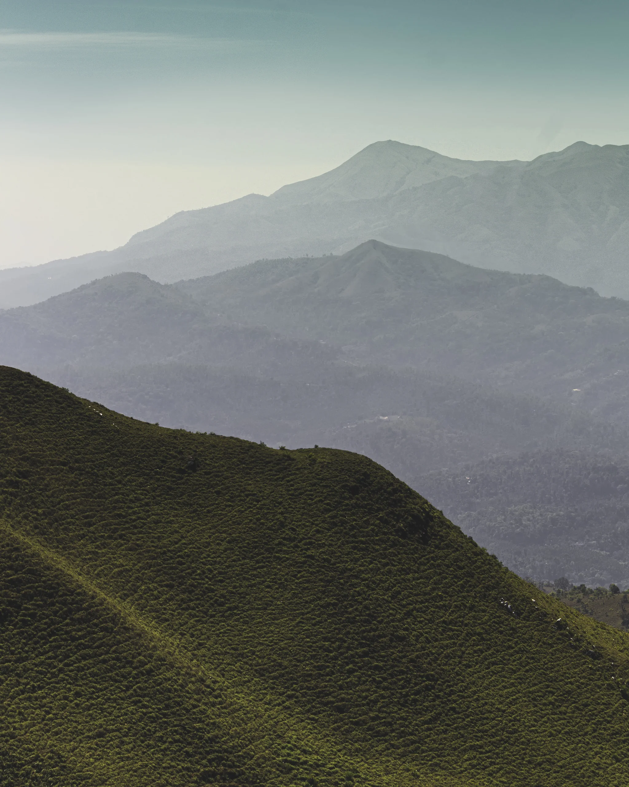 Portfolio image 27