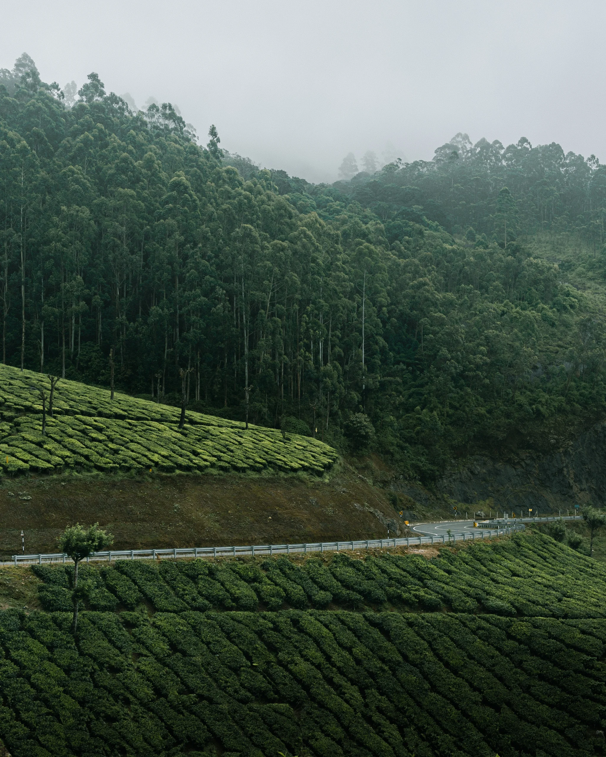 Portfolio image 78