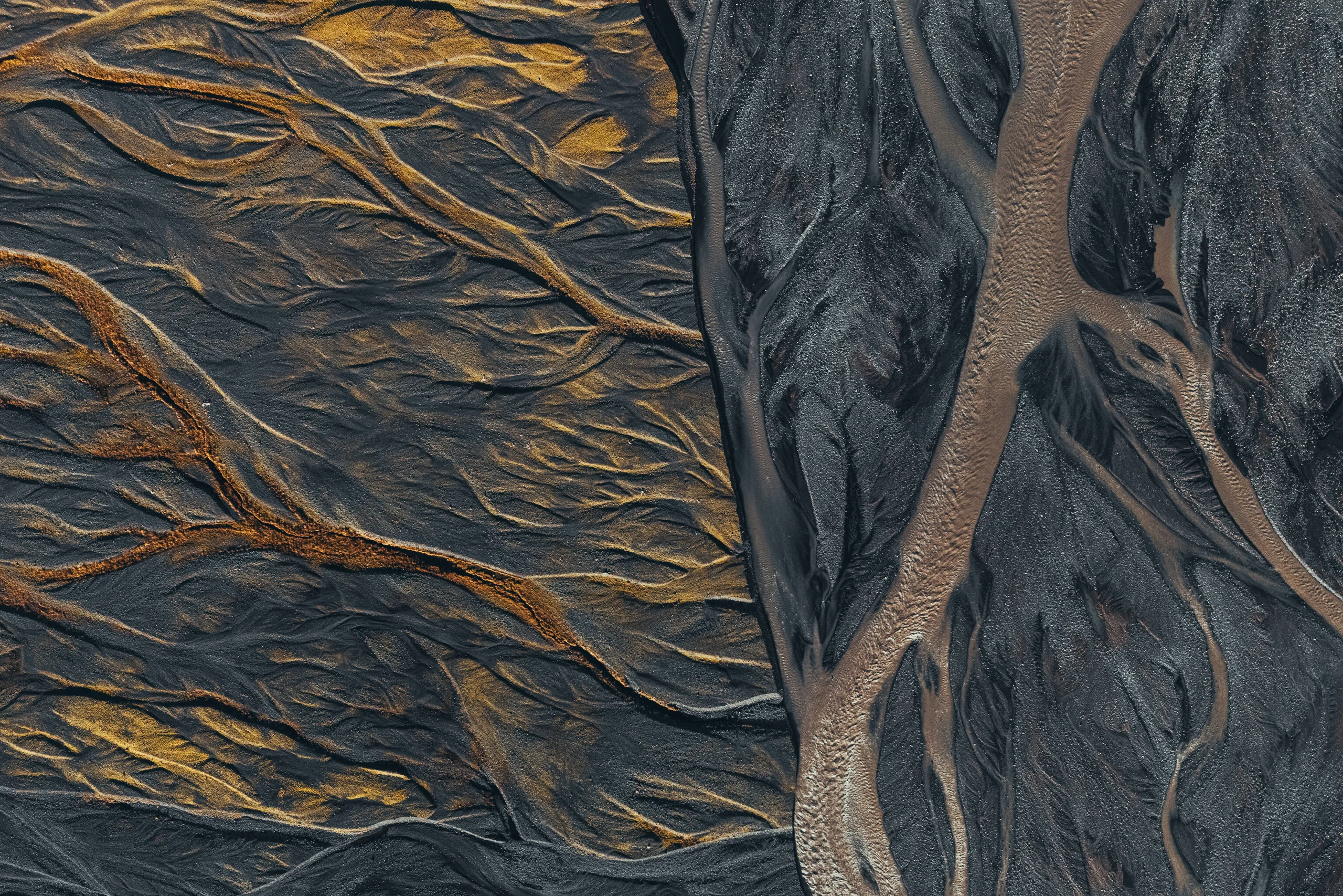 Portfolio image 87