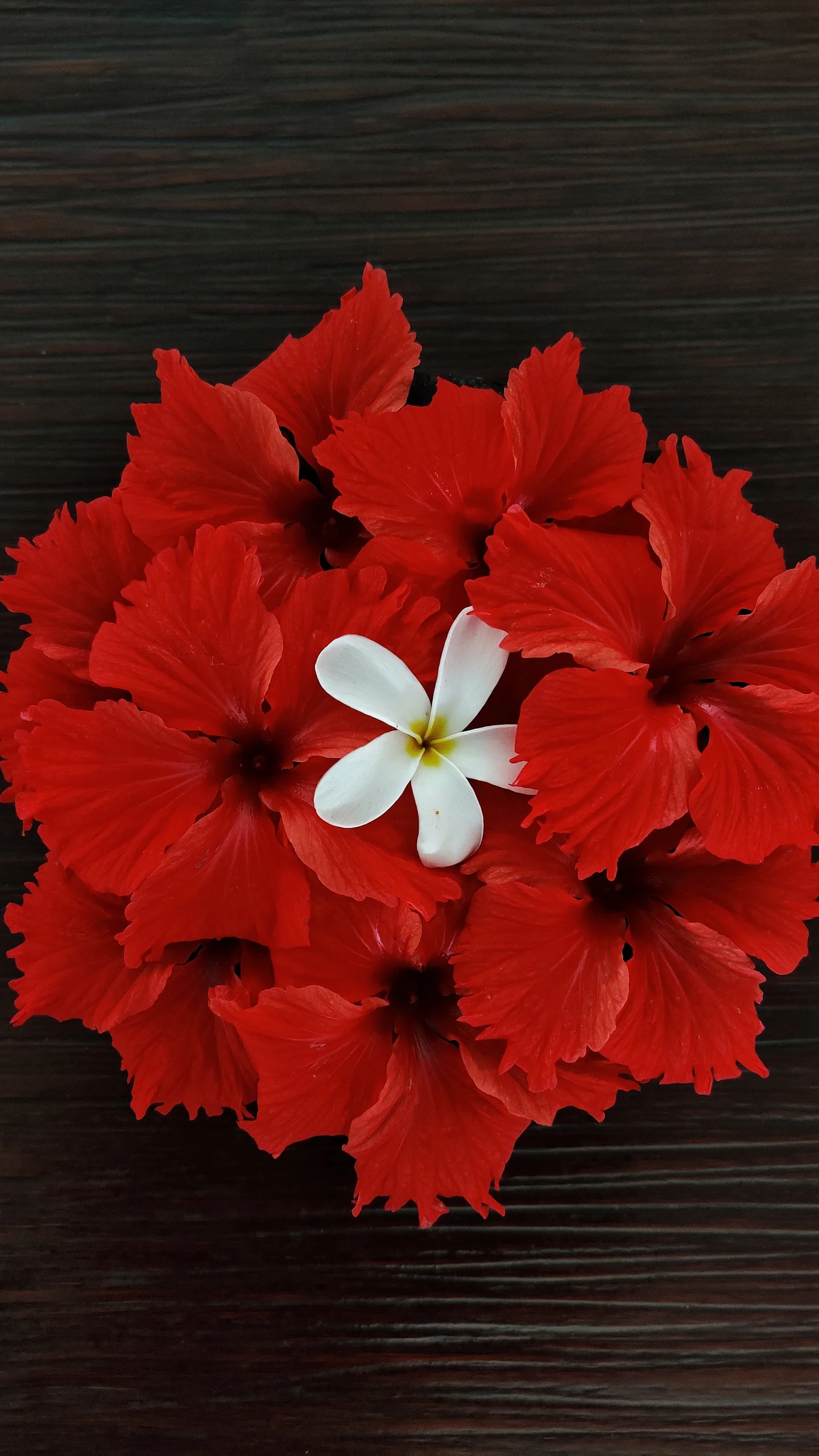 Portfolio image 63