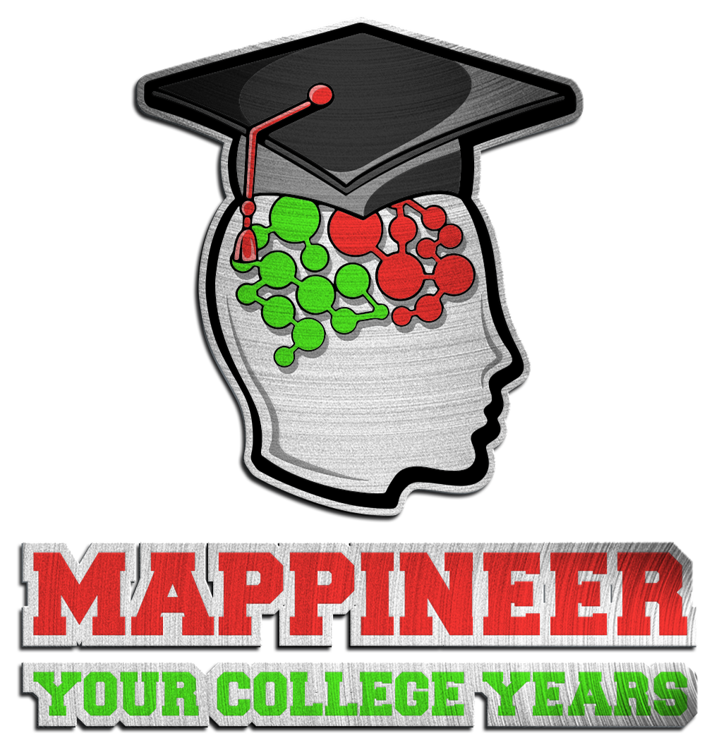 Mappineer Logo