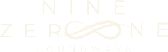 Nine Zero One Soundwave, Tennessee Wedding DJ