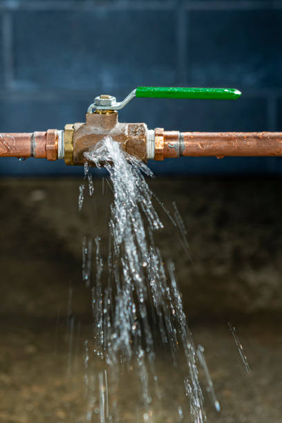 Coastal Plumbing project 3