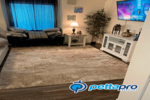 Carpet Cleaning Lindon