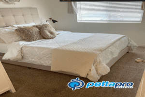 Window Cleaning Lindon