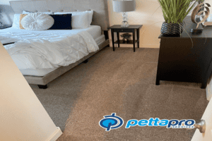 Carpet Cleaning Lindon