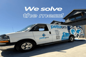 House Cleaning Lindon