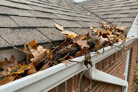 Gutter Cleaning in Lindon