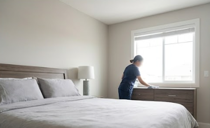 Carpet Cleaning