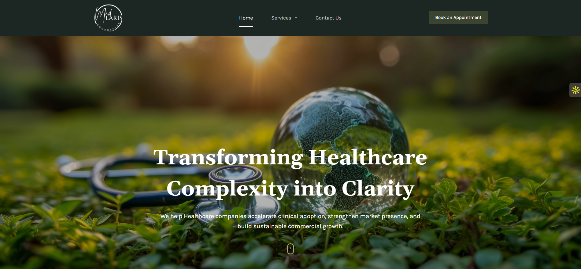 MedLaris Business Platform Presentation