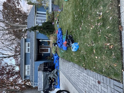 {{ custom_values.service_4 }} in {{custom_values.area_4})