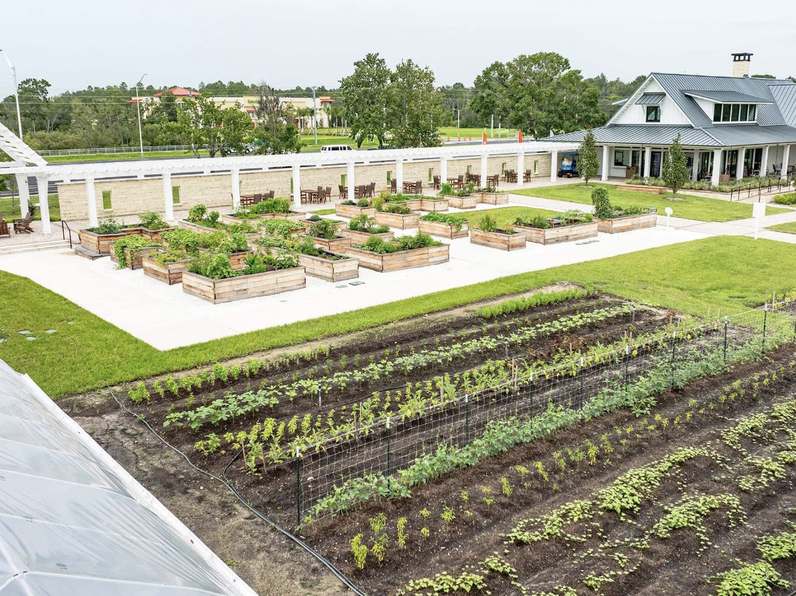 Living the Green Dream: Discover Angeline in Land O' Lakes Living the Green Dream: Discover Angeline in Land O' Lakes
