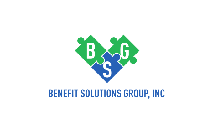 BSG Inc