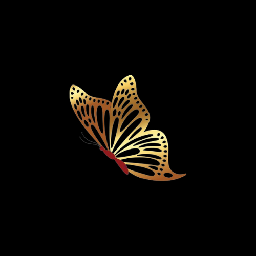 butterfly