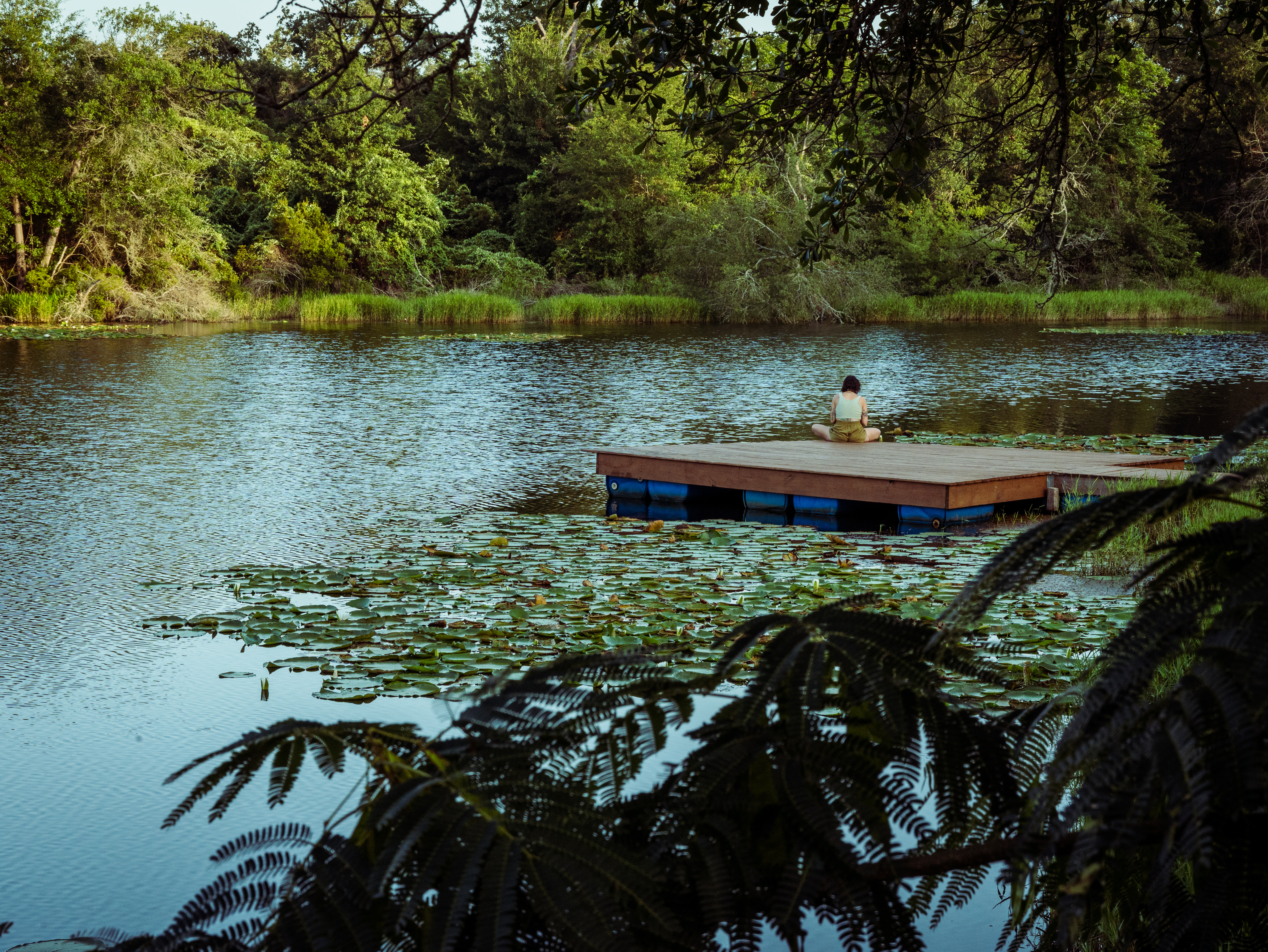 Community working on the land at Haven