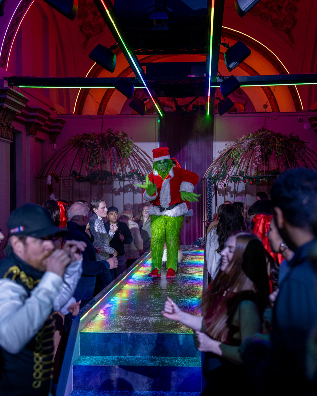 Christmas Peacock