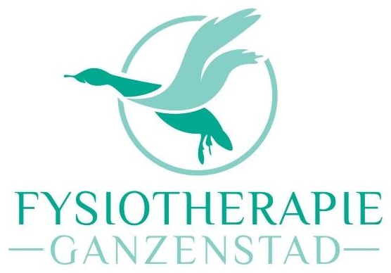 Fysiotherapie Ganzenstad