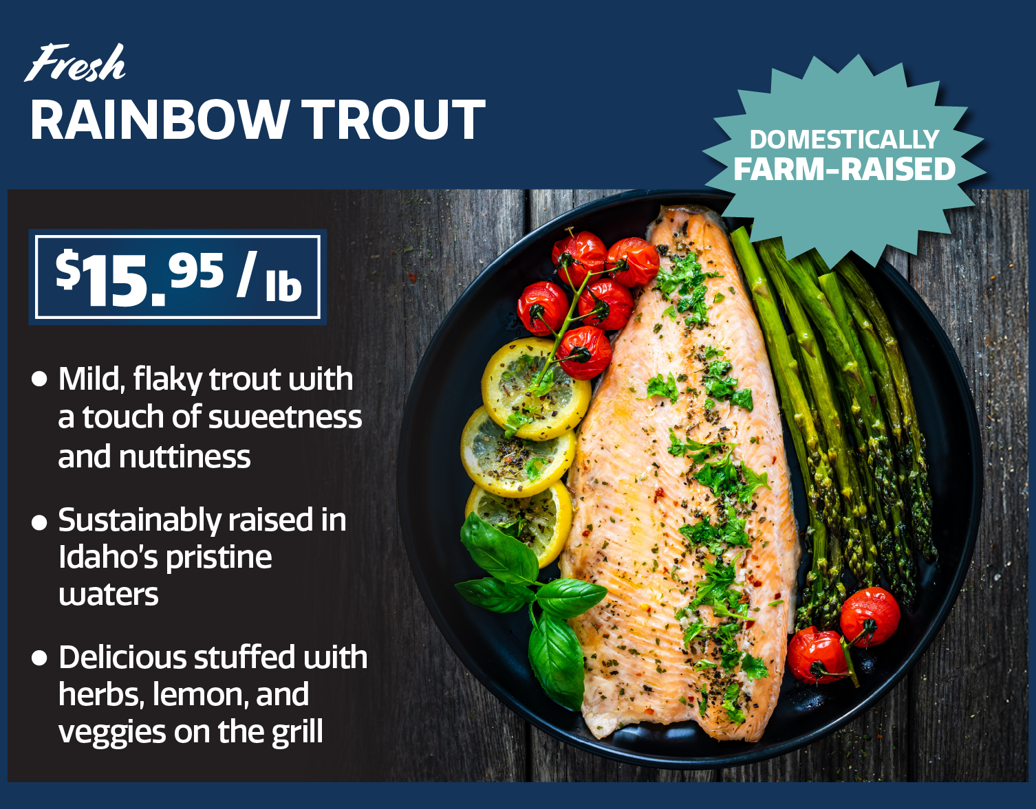 rainbow trout