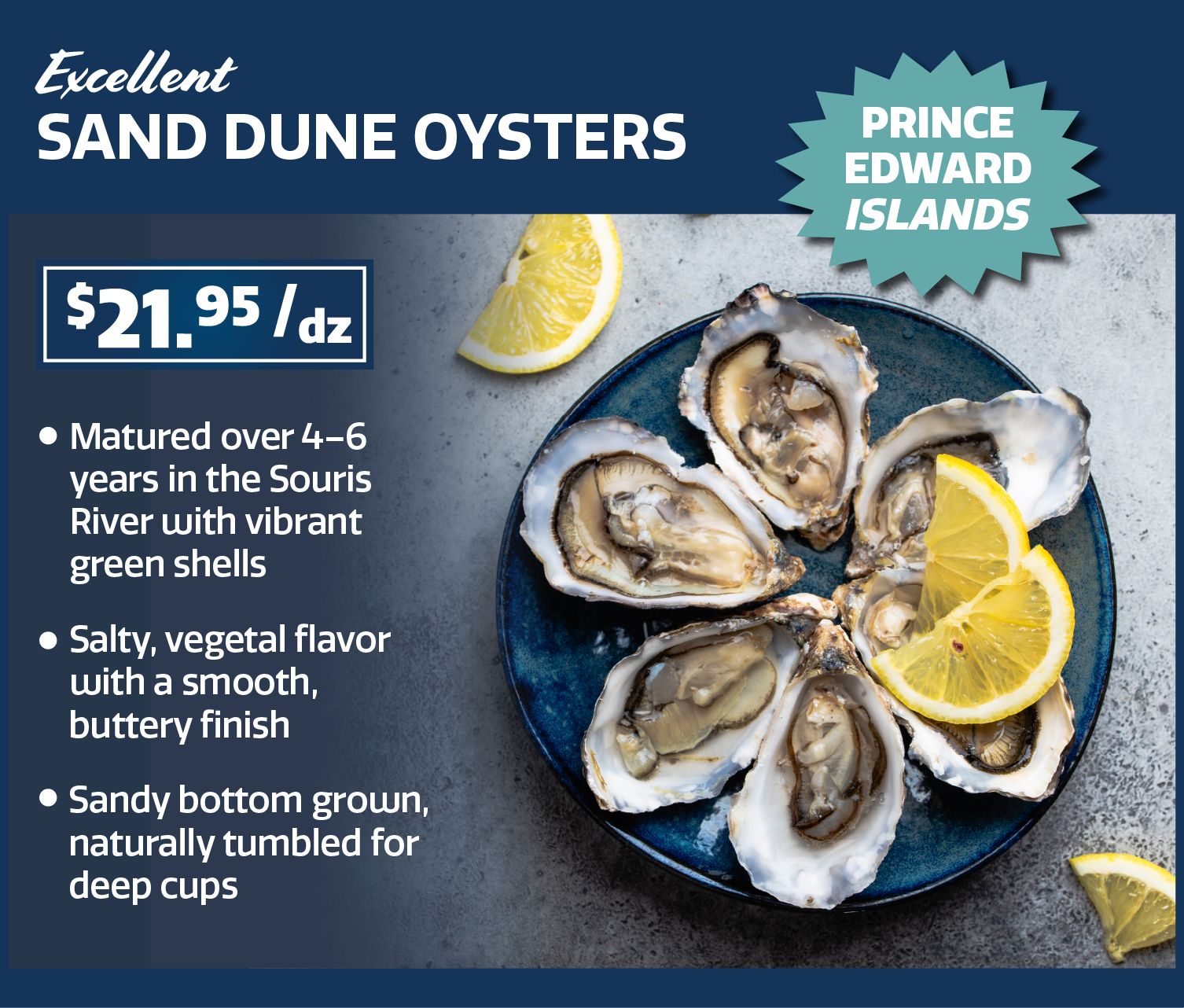 sand dune oysters