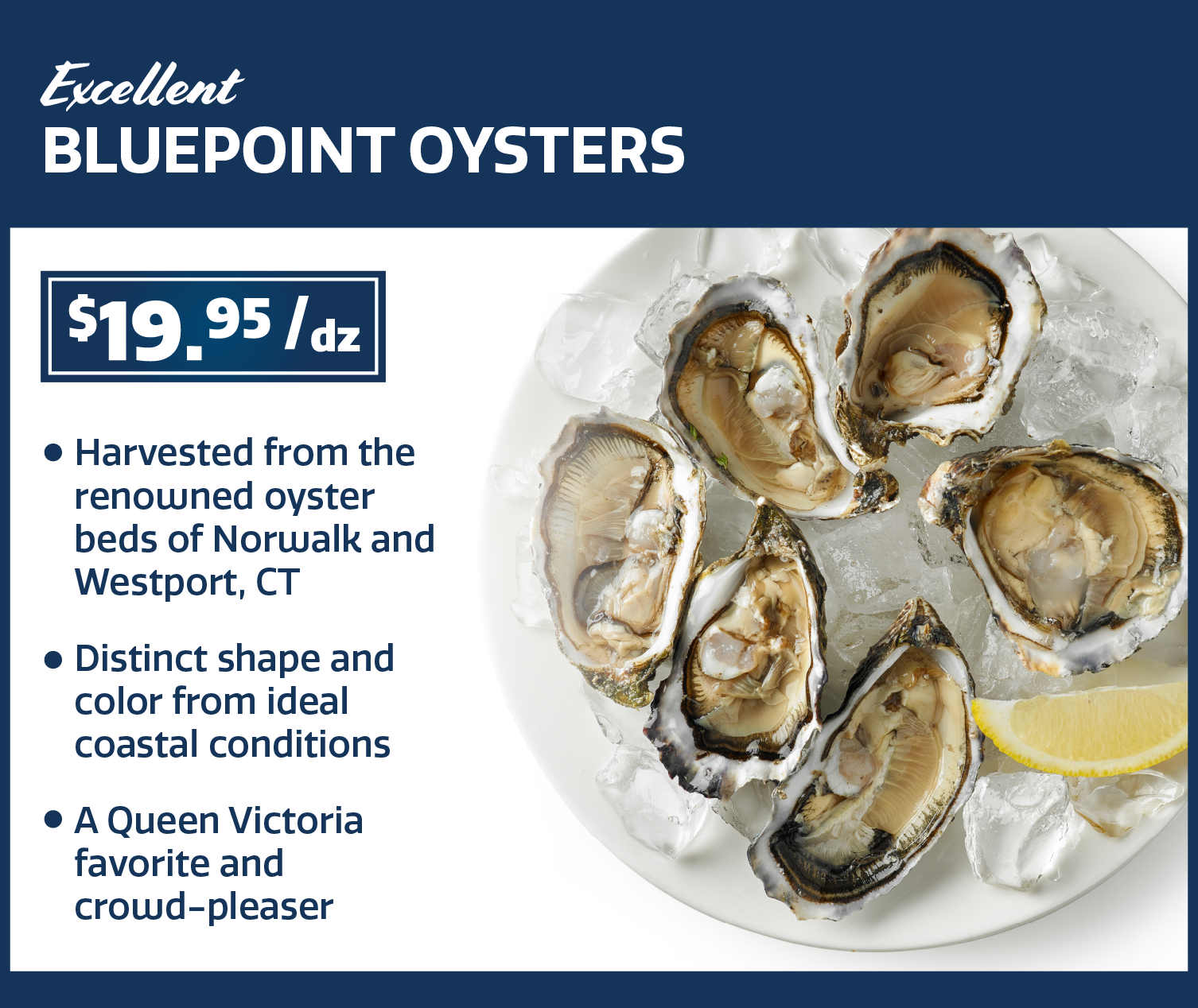 bluepoint oysters