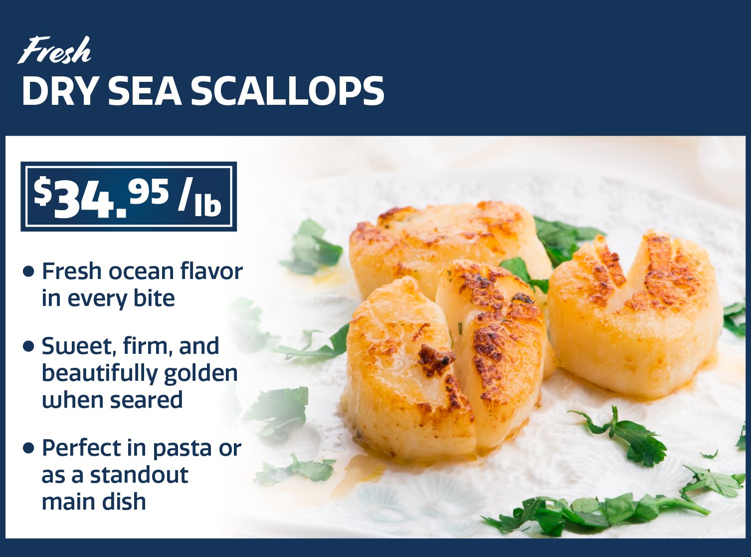 Dry Sea Scallops