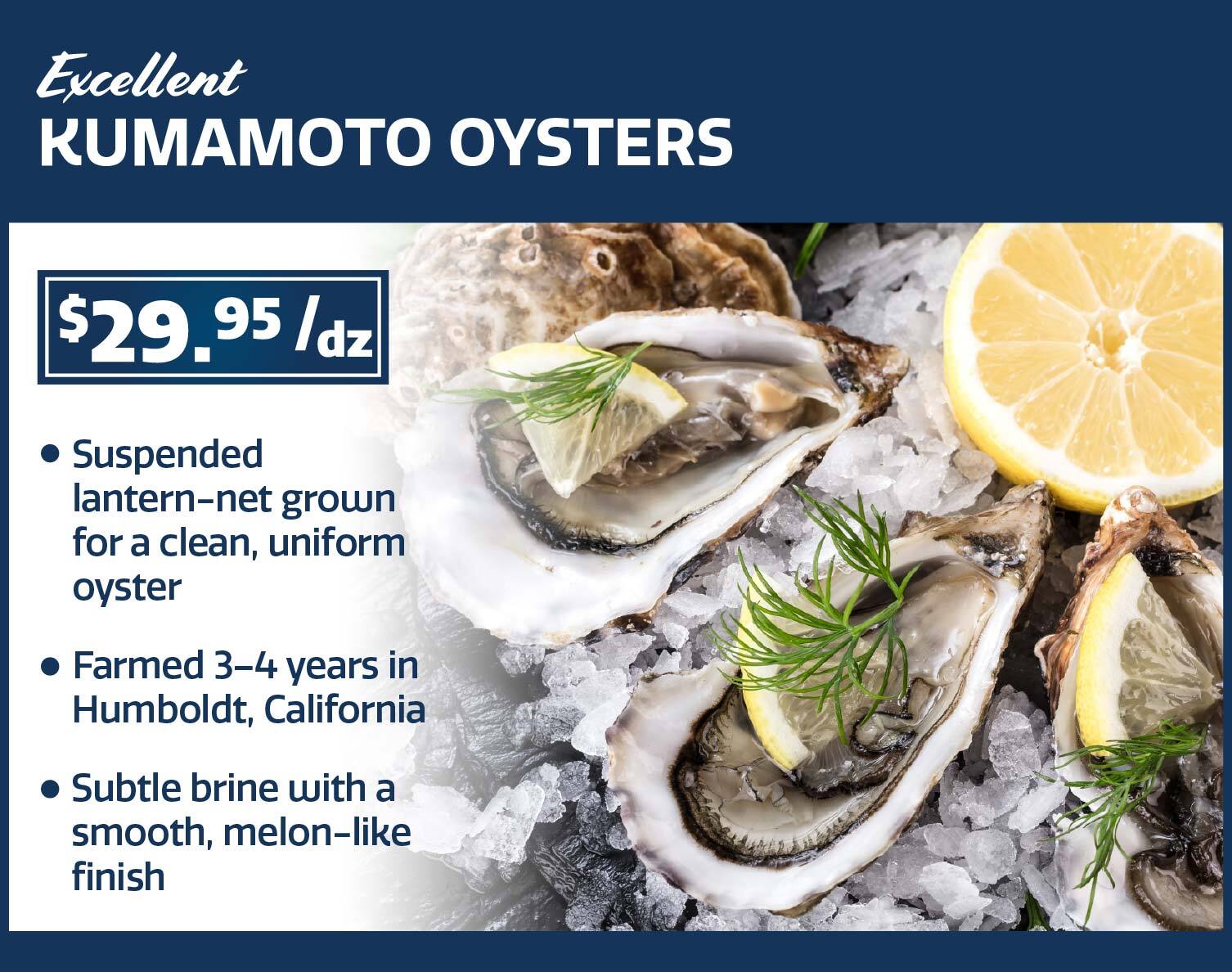 kumamoto oysters