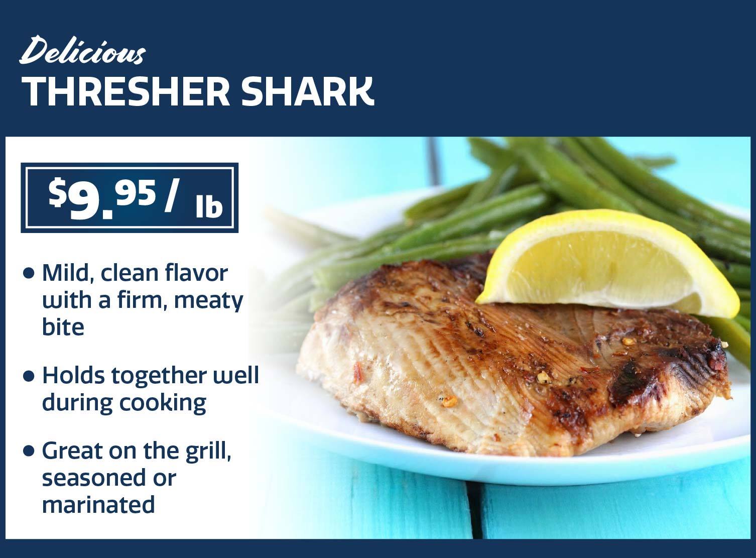 thresher shark