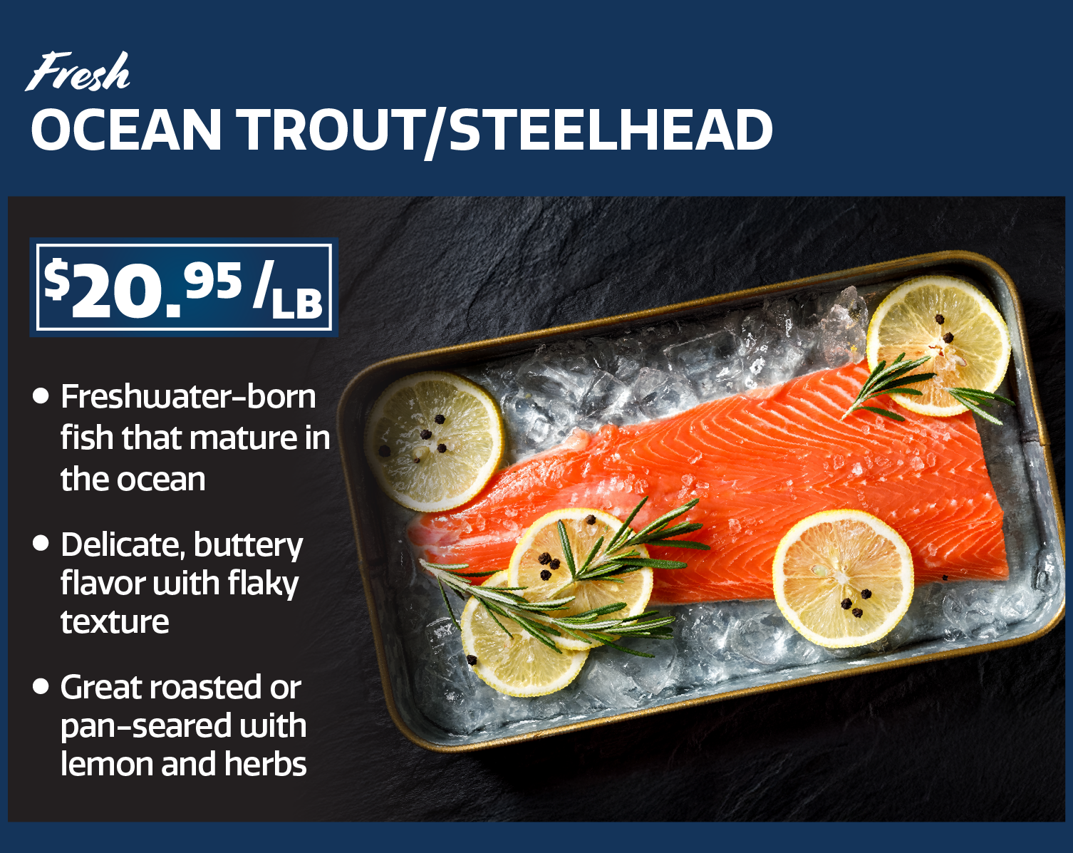 ocean trout
