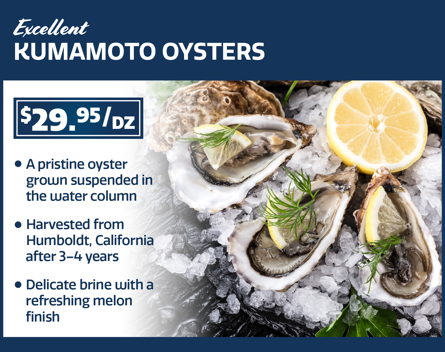 kumamoto oysters