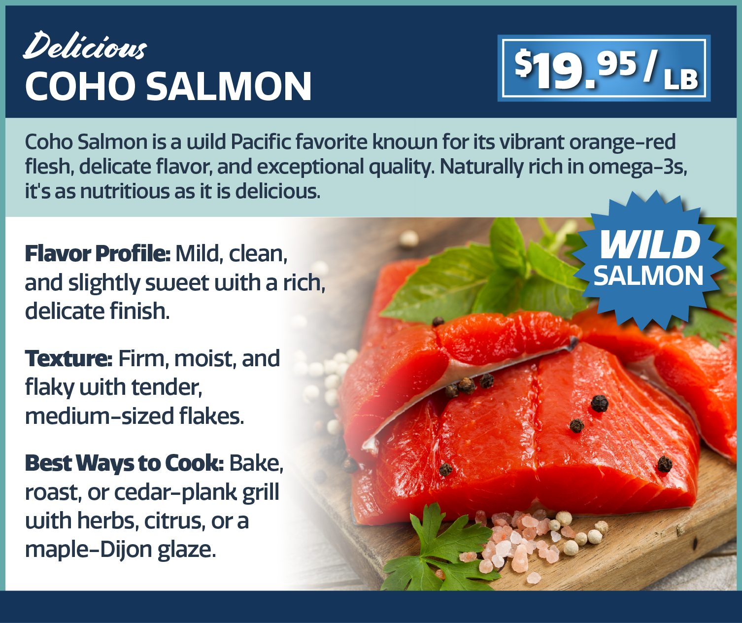 Coho Salmon