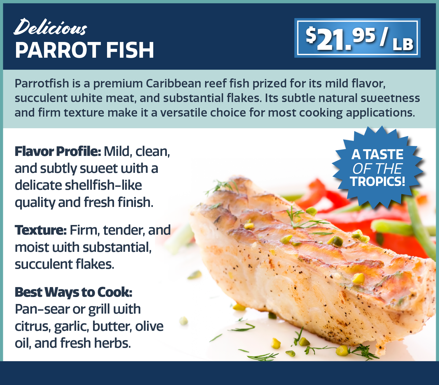 parrot fish
