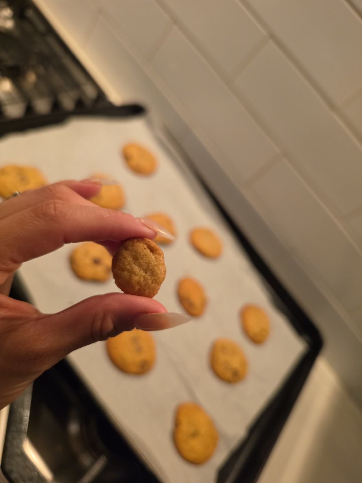 Hand holding a homemade mini chocolate chip cookie with regular-size cookies in the background for size comparison Hand holding a homemade mini chocolate chip cookie with regular-size cookies in the background for size comparison