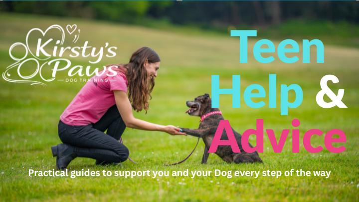 Kirsty's Paws Teenage Dog Help and Advice