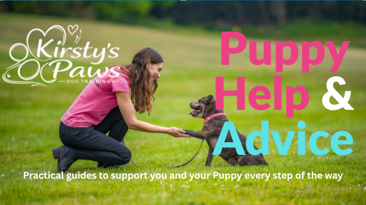 Kirsty's Paws Free Puppy Advice