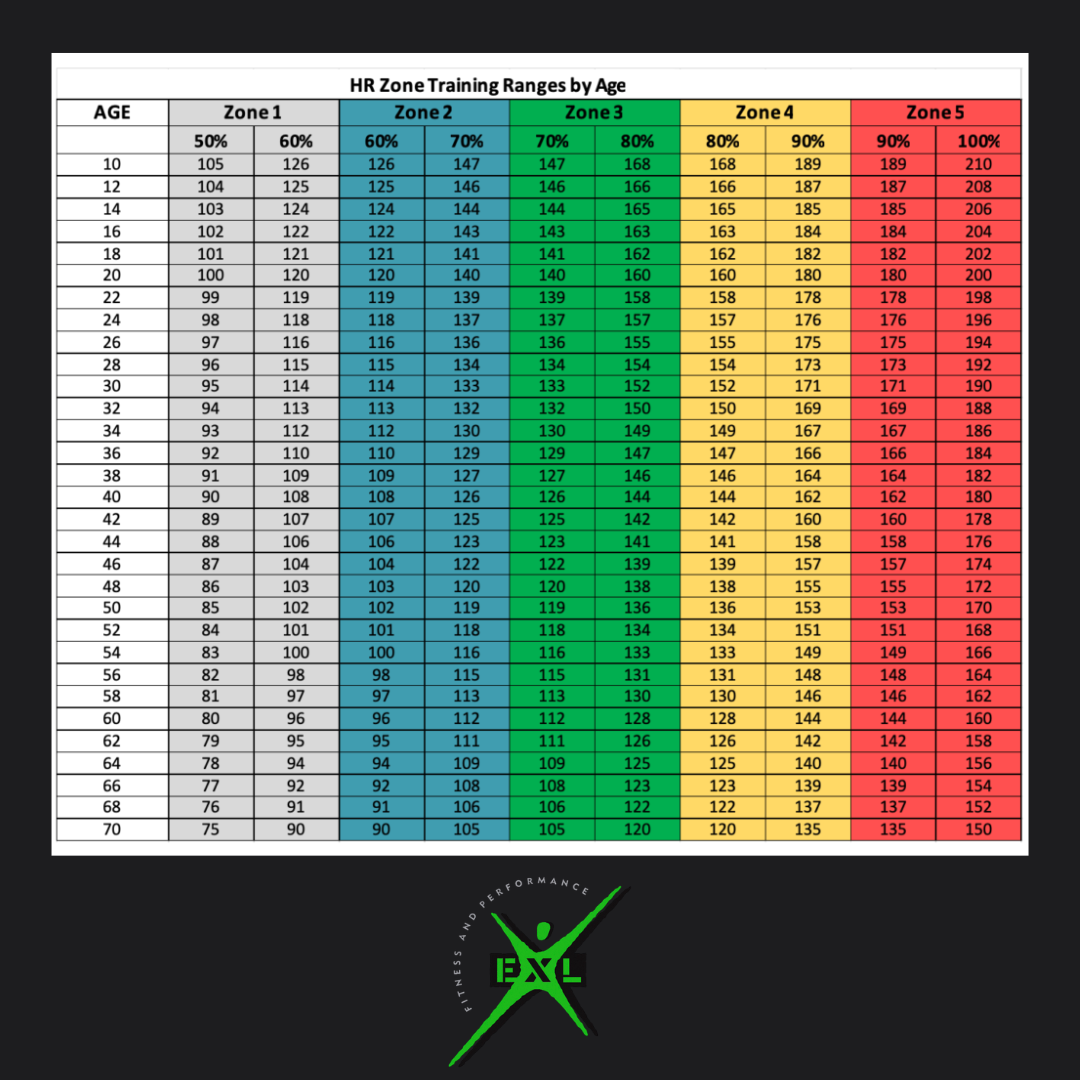 Heart rate zone chart showing Zone 1 through Zone 5 for adults over 40, with Zone 2 highlighted at 60-70% maximum heart rate Heart rate zone chart showing Zone 1 through Zone 5 for adults over 40, with Zone 2 highlighted at 60-70% maximum heart rate