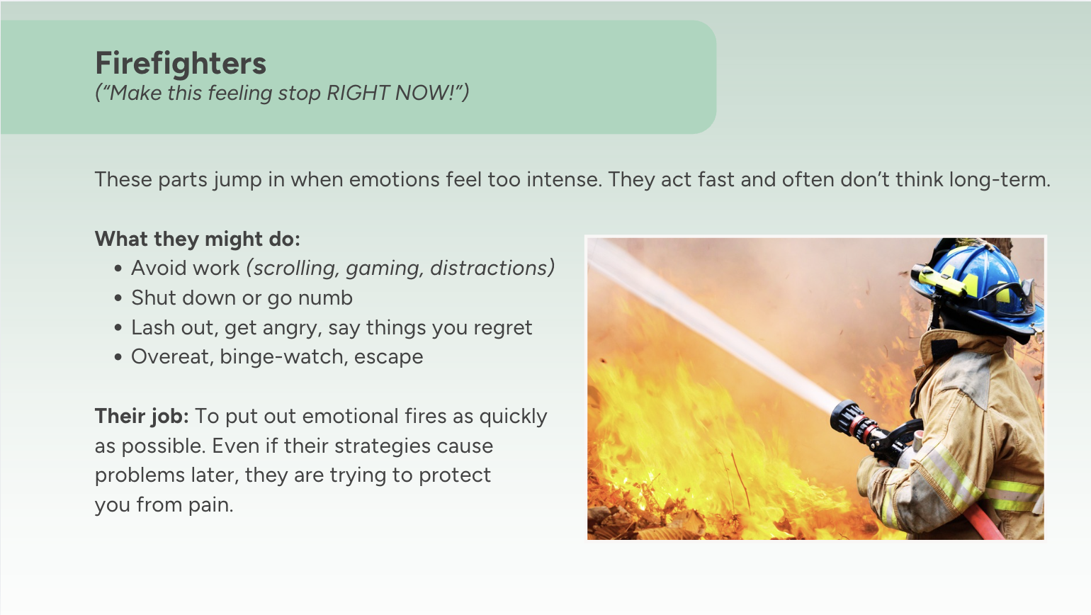 Firefighter IFS Firefighter IFS