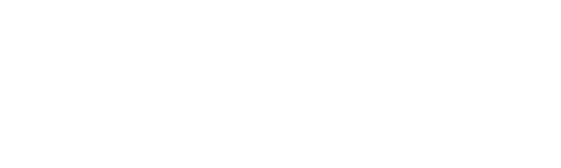 Chief AI Officer