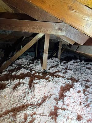 {{ custom_values.service_3 }} in {{custom_values.area_3})