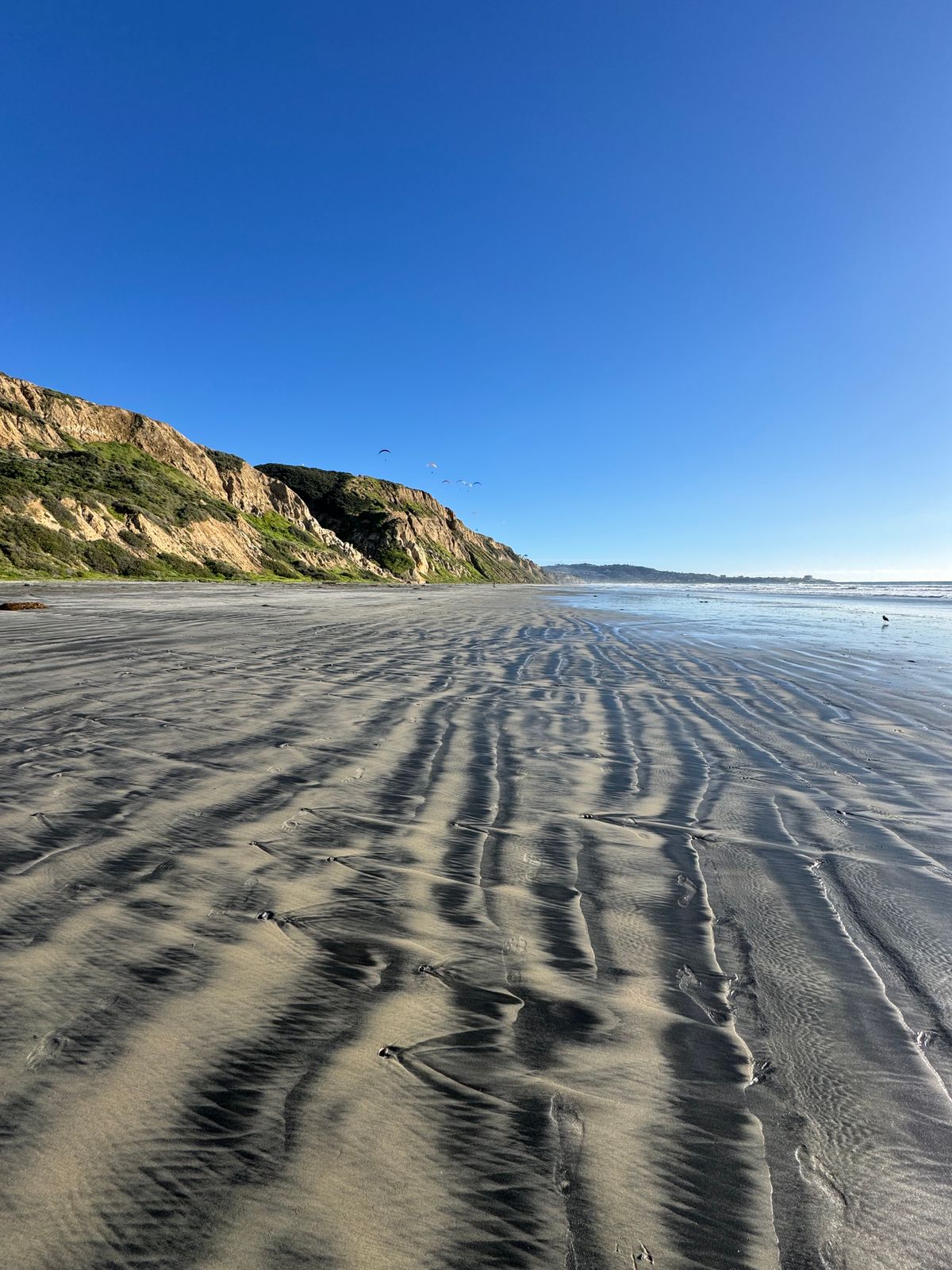 Torrey Pines beach and sandstone cliffs near Del Mar